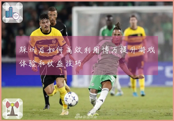 踩坑后如何高效利用博万提升游戏体验和收益技巧