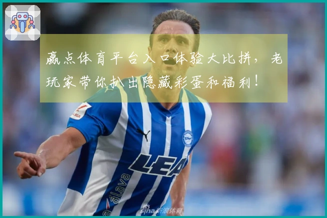 赢点体育平台入口体验大比拼，老玩家带你扒出隐藏彩蛋和福利！