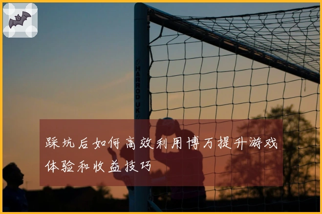 踩坑后如何高效利用博万提升游戏体验和收益技巧